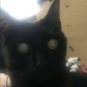 Meet your Posher, Evan